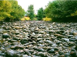 Lostine River dry from irrigation diversions